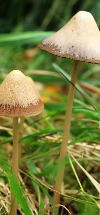 装机模拟器 App 配件选择界面，屏幕上排列着 CPU 与主板选项，深色背景配暖橙色高亮卡片，光线从左侧打下